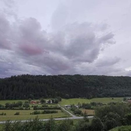 Skogan Daire Leirfjord Dış mekan fotoğraf