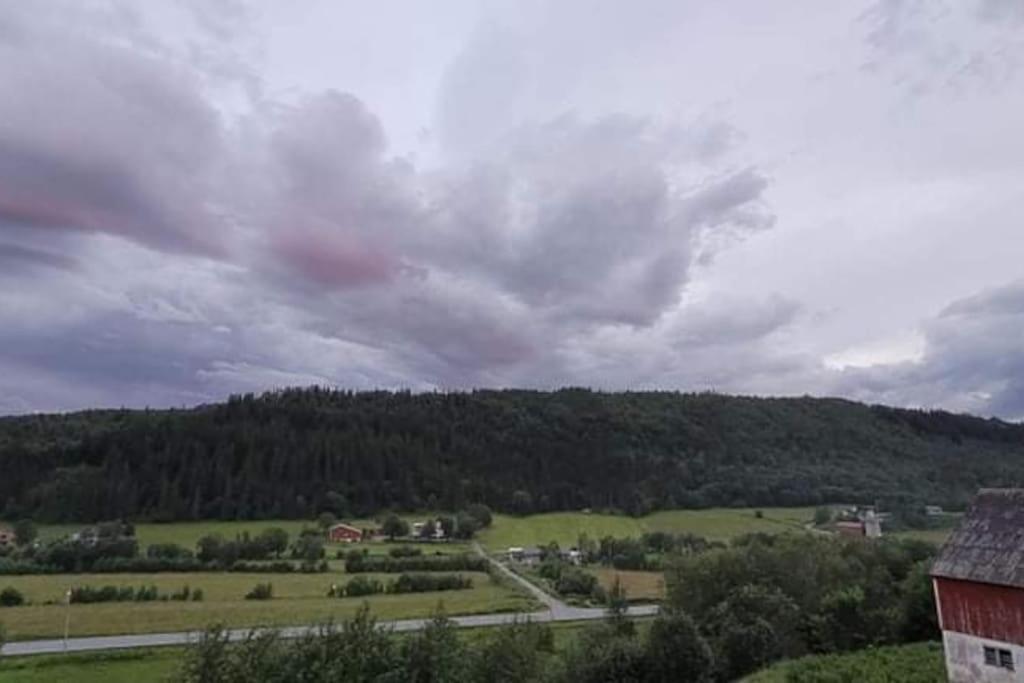 Skogan Daire Leirfjord Dış mekan fotoğraf