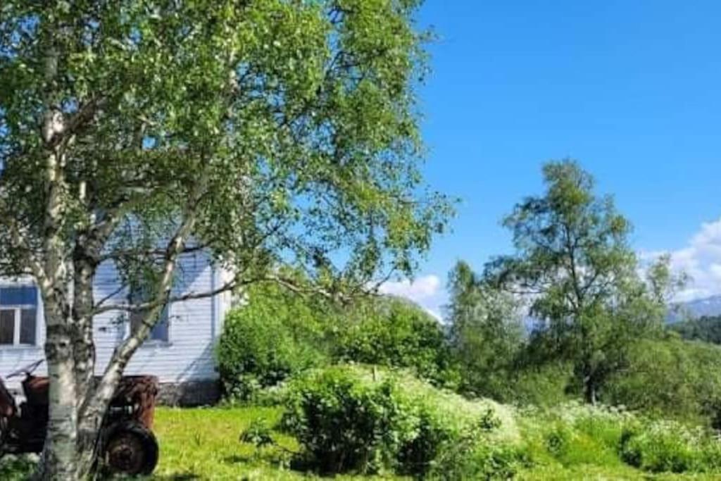 Skogan Daire Leirfjord Dış mekan fotoğraf