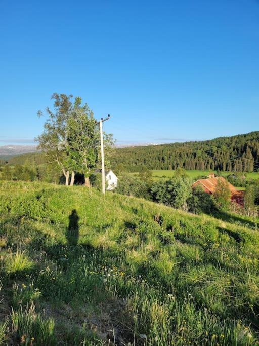 Skogan Daire Leirfjord Dış mekan fotoğraf